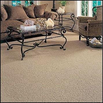Textured Cut Pile Is the most decoratively versatile cut-pile carpet, its textured surface helps hide footprints and vacuum marks.