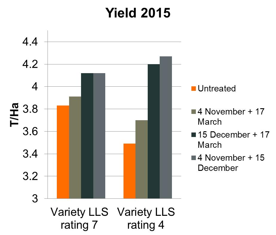 Yields in relation to fungicide application timing Varieties with higher disease scores show a more robust performance when inputs are not applied or correctly timed for maximum control.