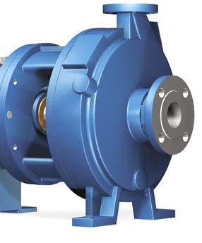 6913 LF Low Flow High Head Features Radial vane impeller with balance holes Interchangeability with existing ANSI pumps