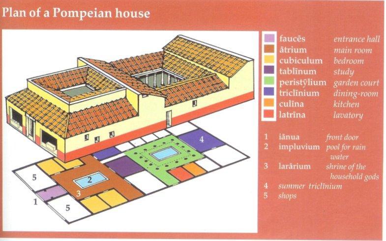 The Roman House Romans lived in many different types of houses, just as we do today. We will be looking at a typical wealthy businessman s house in the first century AD.