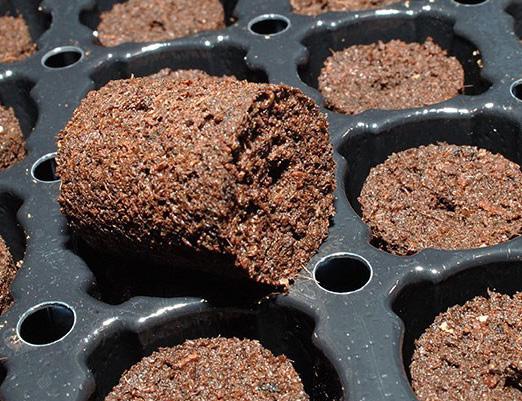 The result is a stabilized propagation medium that promotes faster rooting for cuttings while providing the consistent moisture needed for seed germination.