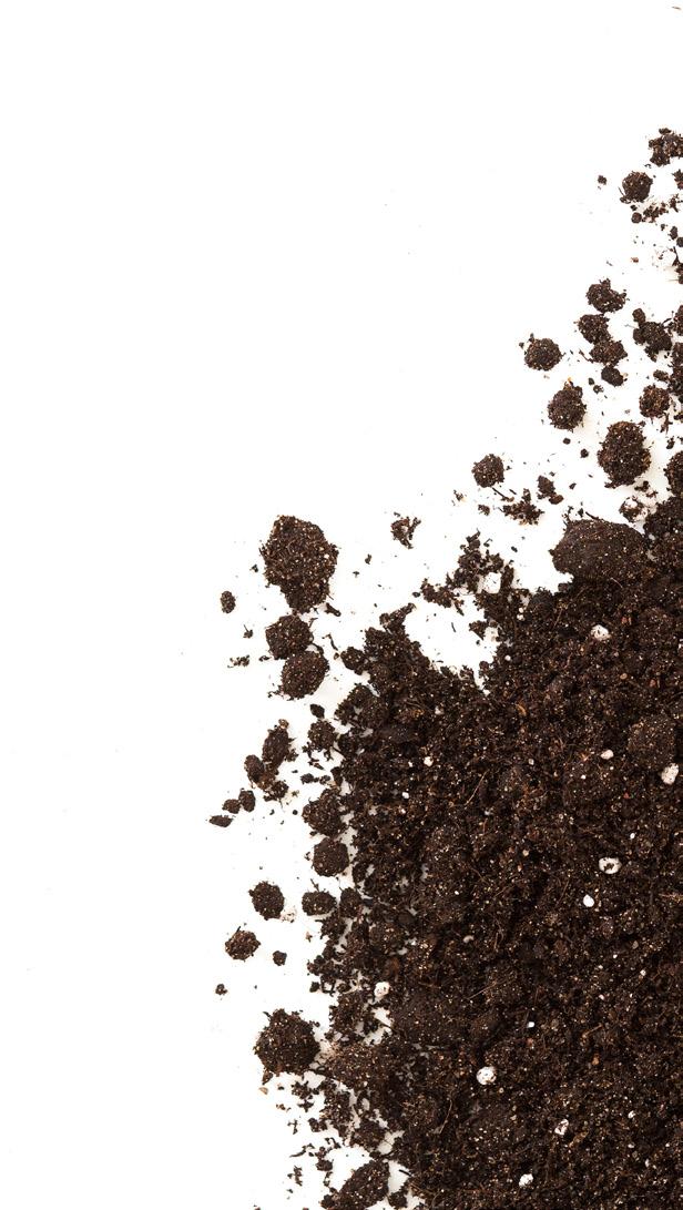 APPROXIMATELY HOW MUCH SOIL YOU WILL NEED TO