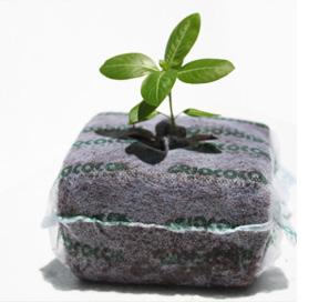 Coir Starter Block Grow starters are also one of our newest inventions in the propagation product family.