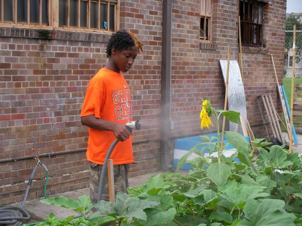 PROGRAM MISSION The Sankofa Garden Project s mission is to teach children and youth about the health benefits of eating fresh fruits and vegetables and associated risk reduction for hypertension,