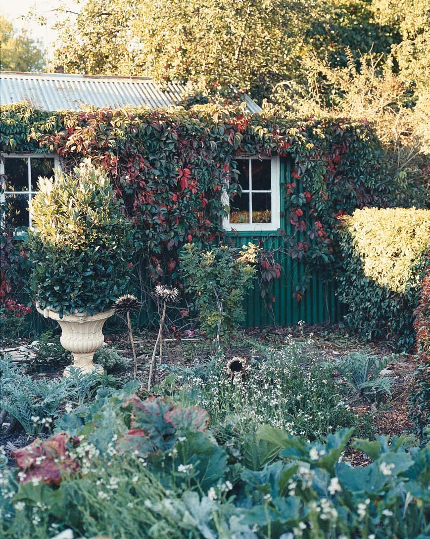 The vegetable garden at the rear.