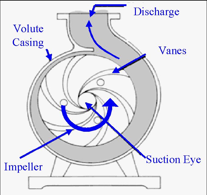 The water enters the suction nozzle and then into eye (center) of an impeller.