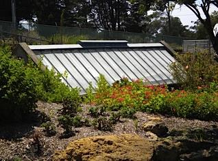 If you are really into history you might want to see the sunken Pit Glasshouse, an historic greenhouse used in colder