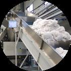 It consists of a loading system, a batch washer, an extraction press and a drying