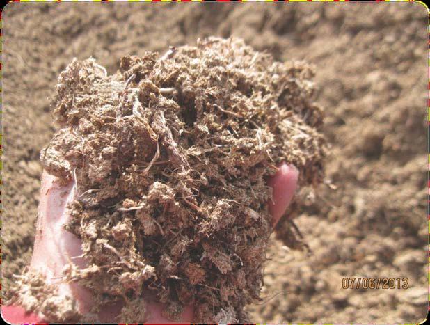 What is Peat Moss? Peat is a renewable, natural, organic material of botanical origin and commercial significance.