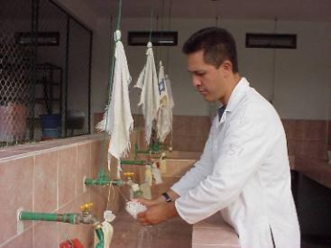 Worker Sanitation Training