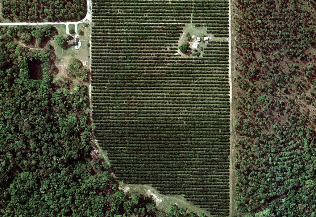 8' AGRICULTURE II II 9 FUTURE LAND USE EXHIBIT 269.4' S. 9'26"W..6' WIRE FENCE ZONING EXHIBIT N. 26'"E. 266.3' 3 2 4 3 4 6 7 6 7 8 8 9 9 3.