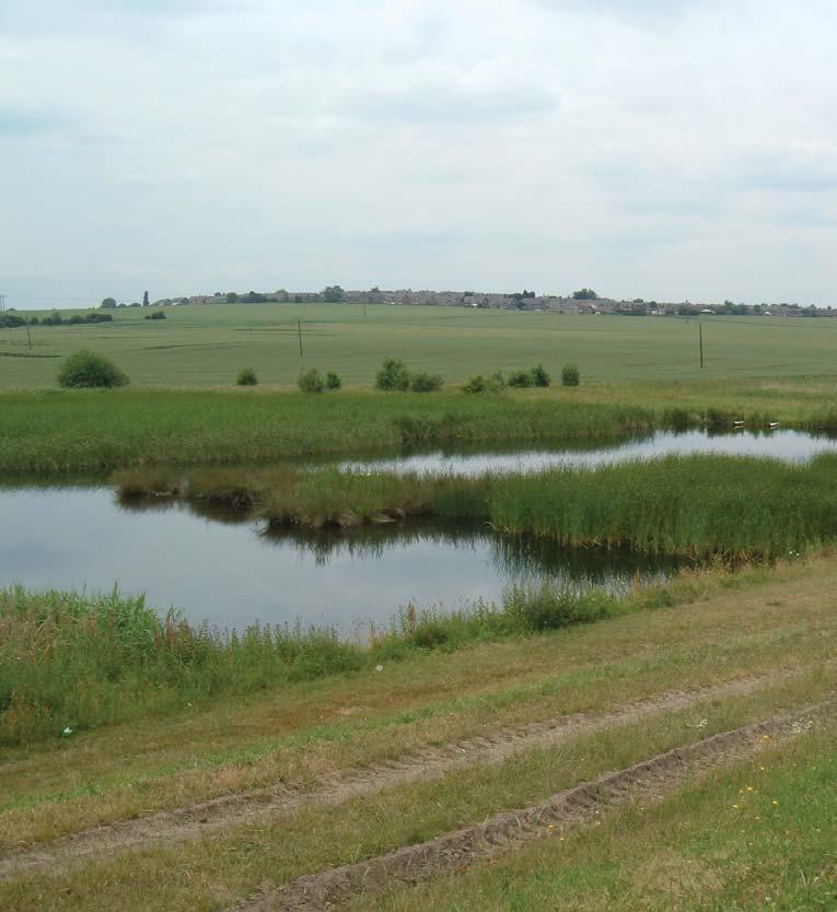 The area appears less remote and tranquil due to the noisy roads and motorbikes on the public rights of way but with the designated Denaby Ings wetland which is of national importance is considered