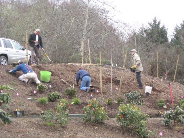 Eureka Chapter members working at Humboldt Botanical Garden's Temperate