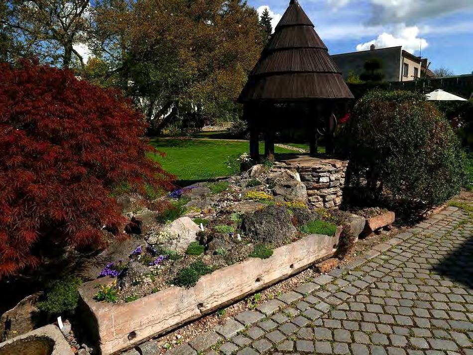 Troughs and a beautifully constructed rock garden sit beneath the shade of some large trees,