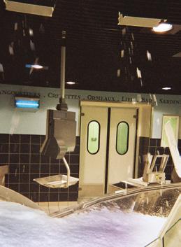 1) The easiest way of ice distribution: by gravity. The flake ice machines are mounted directly above the fish display.