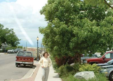 Design Opportunities (continued) Streetscape Streetscapes should be pedestrian-friendly and