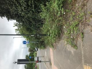 ZONE 5 Blitz Work Update Rutherford Way and Radford Road Vegetation Removal Observed pedestrians struggling to park their cars in Rutherford way, due to