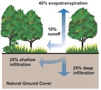 Hydrologic Cycle in Urban Areas Relationship between impervious cover and surface runoff.