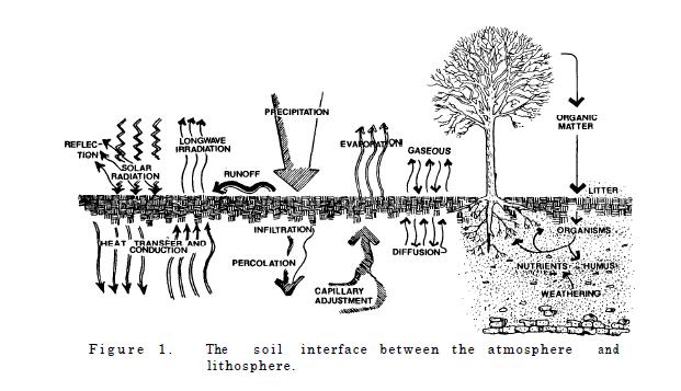 Urban environment affects soil?