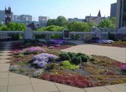 Green Roofs Description Green roofs represent an alternative to traditional impervious roof surfaces.