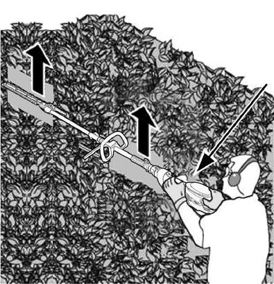 To obtain exceptionally level hedges a piece of string can be stretched along the length of the hedge as a guide. 5. Side-trimming hedges.