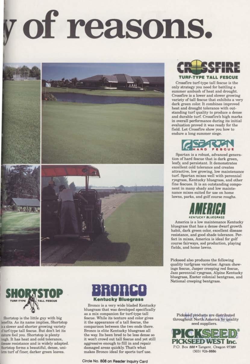 y of reasons. Crossfire turf-type tall fescue is the only strategy you need for battling a summer ambush of heat and drought.