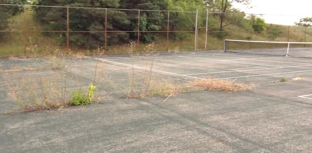 convert 2 of the tennis courts to 6 new Pickleball Courts
