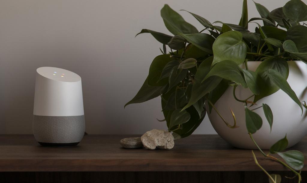 Works with Vivint. Have a Google Assistant or Amazon Alexa smart speaker?