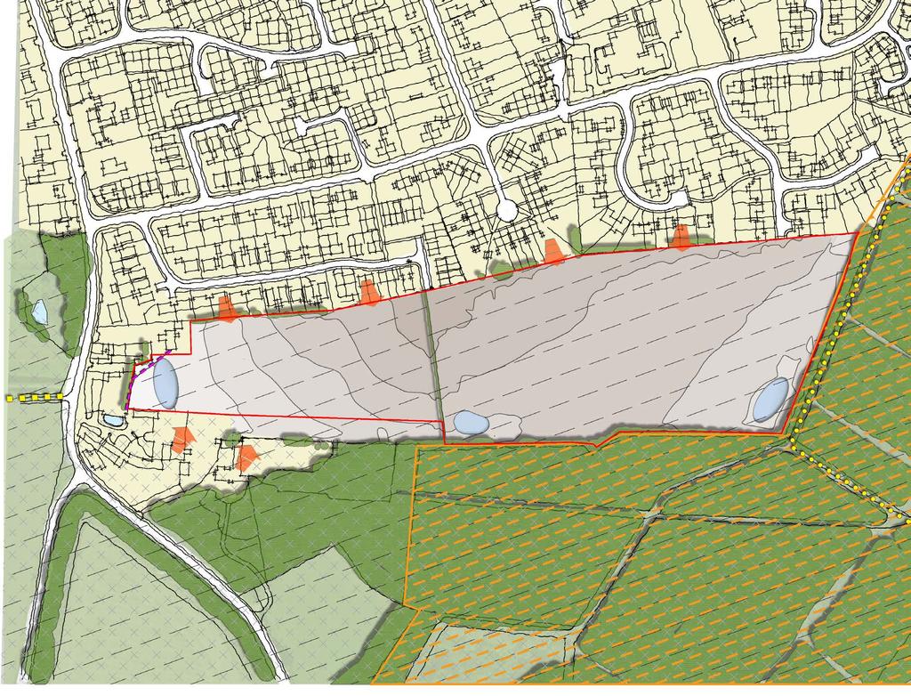 06 CONSTRAINTS & OPPORTUNITIES The assessment of the site and its surroundings has identified a number of features which should be protected, retained and enhanced wherever possible as part of the