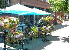 Deciduous landscaping provides summer shade and