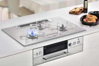 New DELICIA Series of Built-In Hobs (Stovetops) 15 *Permits automatic cooking of five standard meal types Arrival of Stove Auto Menu Grilled dumplings Hamburg steak Simmer fish Stewed taro Egg