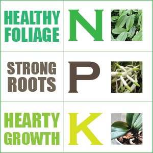 Fertilizing Nitrogen (N), Phosphorus (P), and Potassium (K), each of these being essential in plant nutrition Nitrogen is for healthy leaves and is a component of chlorophyll, the substance that