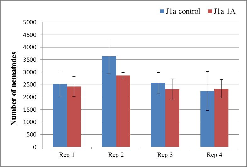 Fig. 11: Number of root lesion nematodes present in each replicate of J1a controls and J1a 1A transgenic lines after two months of inoculation. Fig.