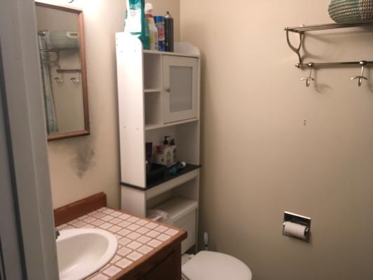 1. Room Hall Bathroom1 Ceiling and walls are in good condition overall. Accessible outlets operate. Light fixture operates.