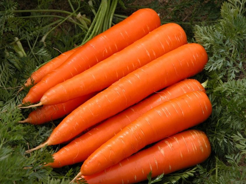 POPULAR VEGETABLES THAT ARE COLD TOLERANT Carrots Carrots actually taste sweet when harvested in the