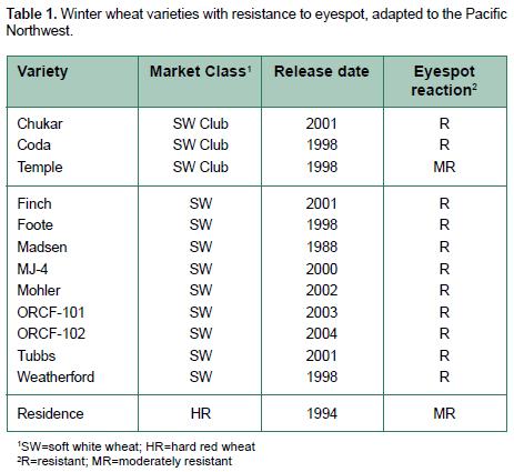 Spring seeded grains, although susceptible, are not usually affected by eyespot in the Pacific Northwest and are effective rotation crops, as are peas, lentils, chickpeas, and canola.