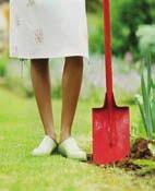 beds > > Replenish mulch areas > > Remove any dead plants > > Trim