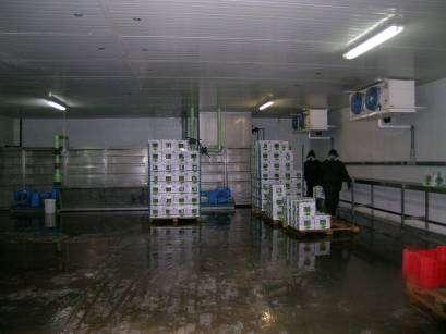 Draining After second hydro-cooling, asparagus should be left to drain in cold storage at