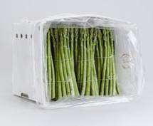 Modified Atmosphere Packaging Modified atmosphere packaging for green asparagus Preserves firmness and taste