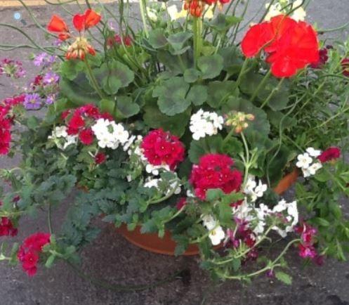 Planter (14in)
