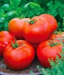 Tomatoes (3.
