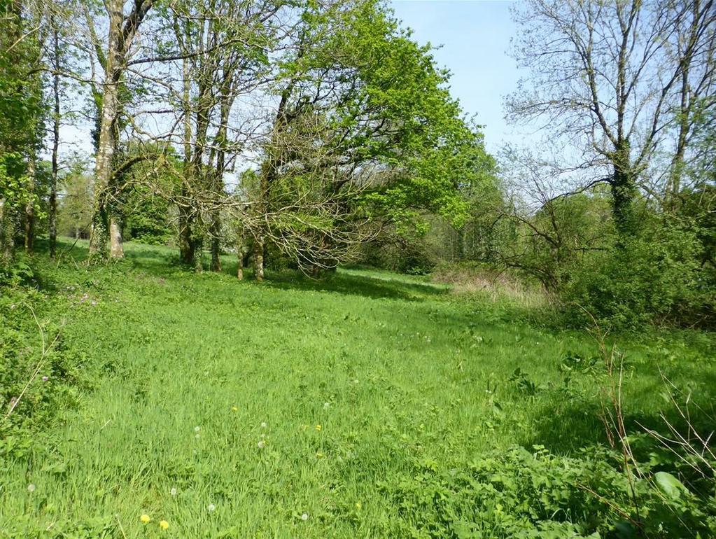 5 acres or thereabouts which surround on the
