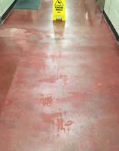 Finish CAPTIV800 Encapsulation Cleaner EP88 CAPRICE Neutralizer and Salt Remover for Floors and Carpets