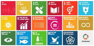UN Development Goals W+B