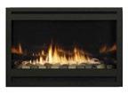 Fireplace Napoleon 9600 HUGE SALE 