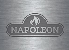 PROPER USAGE The Napoleon logo embodies our ability to honor the tradition of quality as we embrace innovative change. Always use good judgment with the Napoleon logo and use it respectfully.