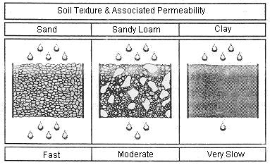 Factors That Influence Soil Water Movement Soil texture Sandy soils will have fast water