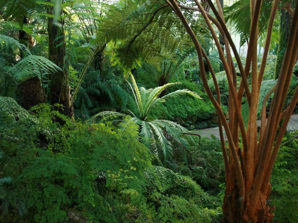 Botanic Gardens; a place of»