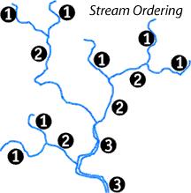 the smallest stream segments near the drainage divide as the lowest order and the stream segment at the watershed outlet is assigned the highest order.