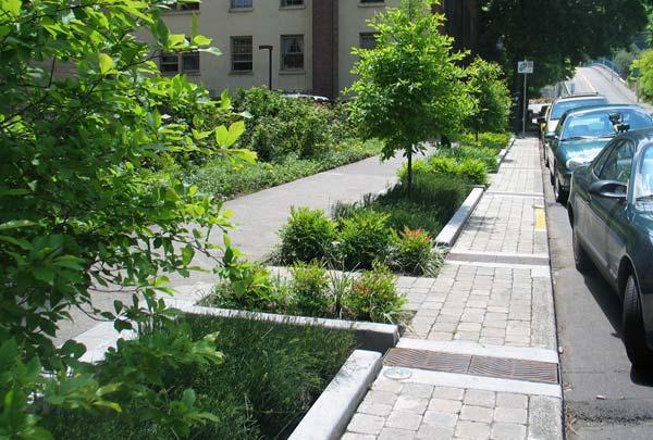 Plantings shall be placed in and around the paved area with emphasis on screening of